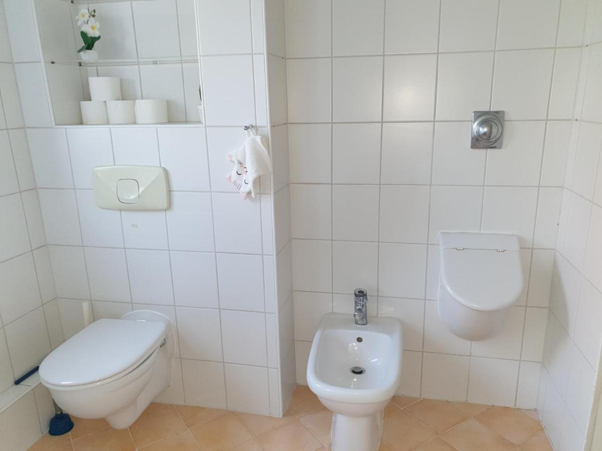Family Apartment Linz Wohnen Mit Garten Am Fusse Des Poestlingbergs Top Lage Villenviertel Εξωτερικό φωτογραφία