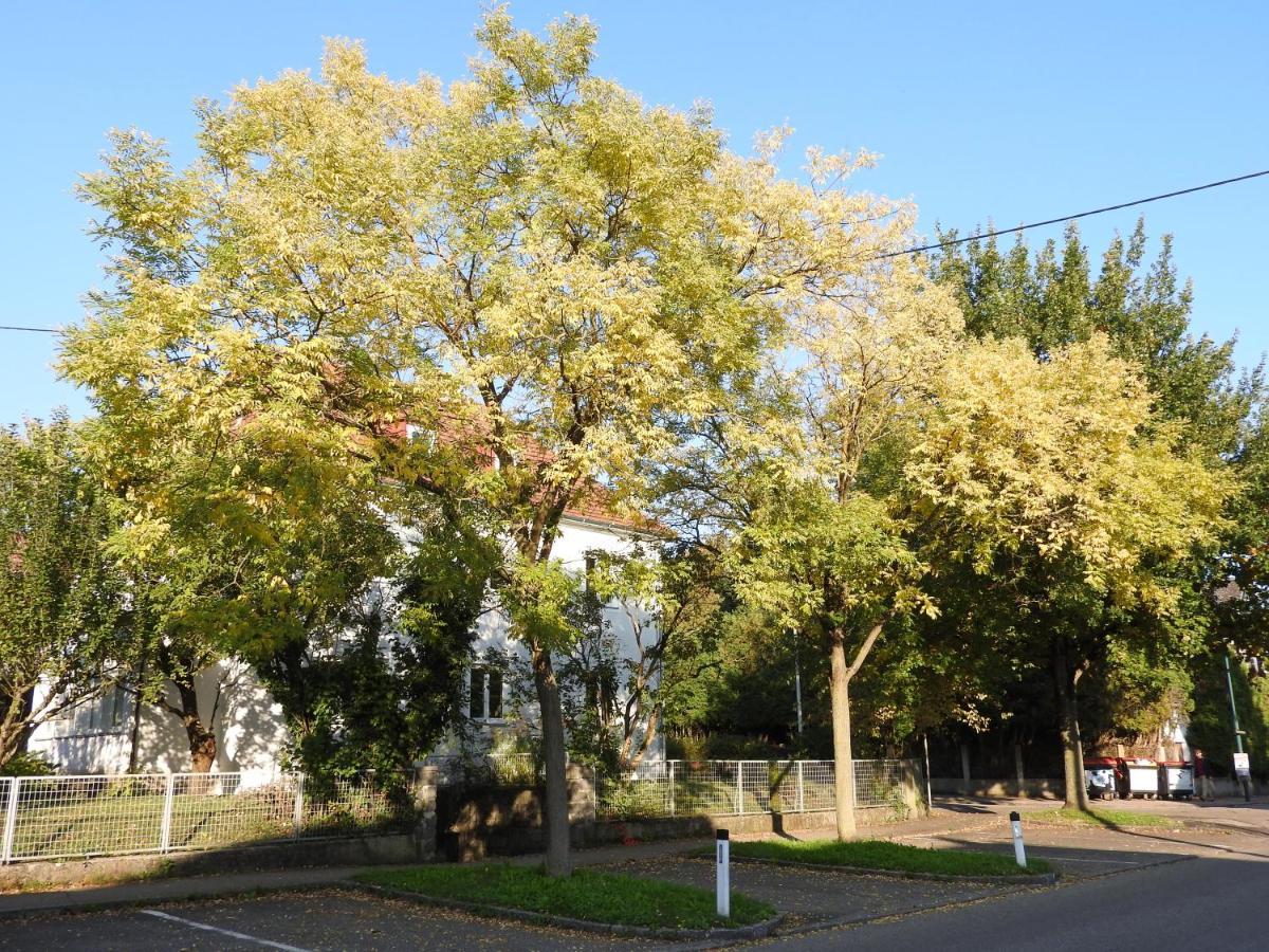 Family Apartment Linz Wohnen Mit Garten Am Fusse Des Poestlingbergs Top Lage Villenviertel Εξωτερικό φωτογραφία