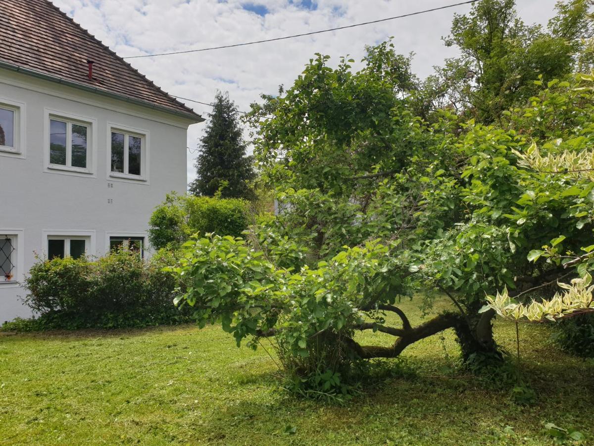 Family Apartment Linz Wohnen Mit Garten Am Fusse Des Poestlingbergs Top Lage Villenviertel Εξωτερικό φωτογραφία