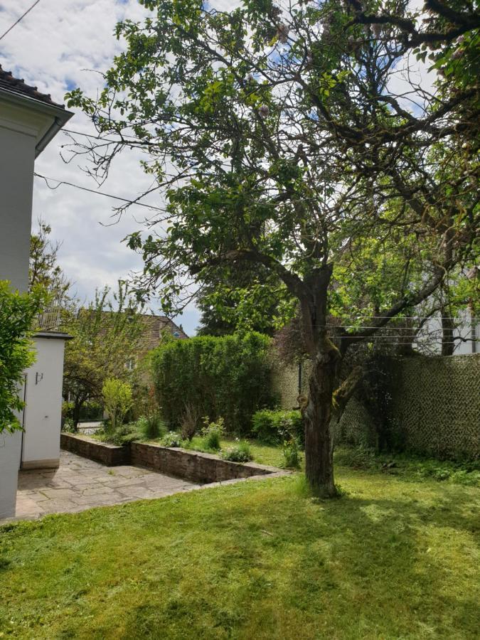 Family Apartment Linz Wohnen Mit Garten Am Fusse Des Poestlingbergs Top Lage Villenviertel Εξωτερικό φωτογραφία