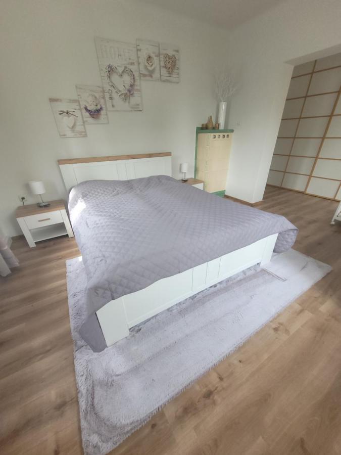 Family Apartment Linz Wohnen Mit Garten Am Fusse Des Poestlingbergs Top Lage Villenviertel Εξωτερικό φωτογραφία