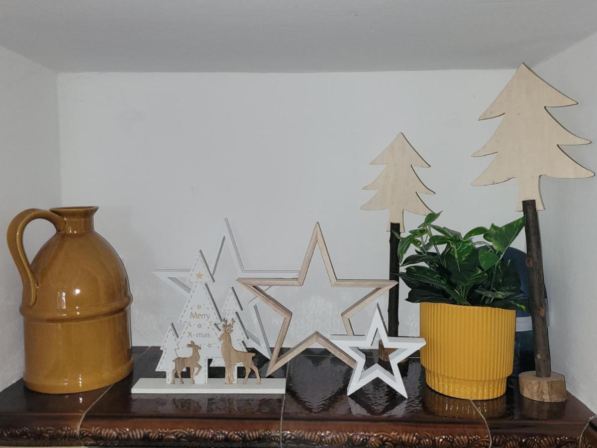 Family Apartment Linz Wohnen Mit Garten Am Fusse Des Poestlingbergs Top Lage Villenviertel Εξωτερικό φωτογραφία